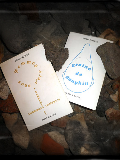 Graine de Dauphin